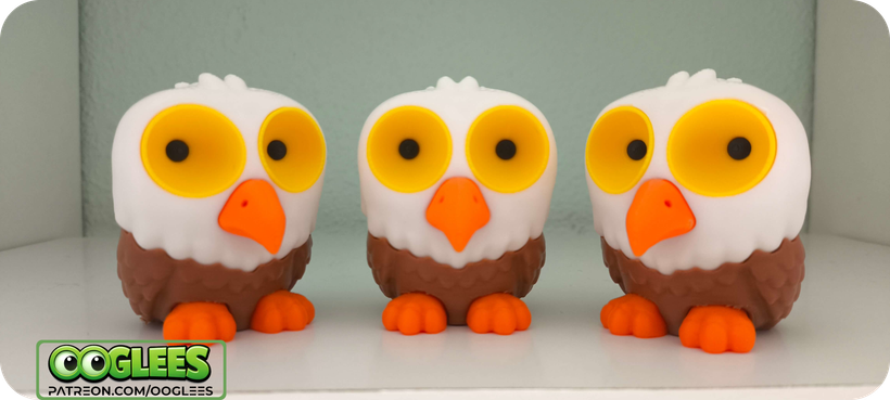 OOglees Eagle | Wild Watchers
