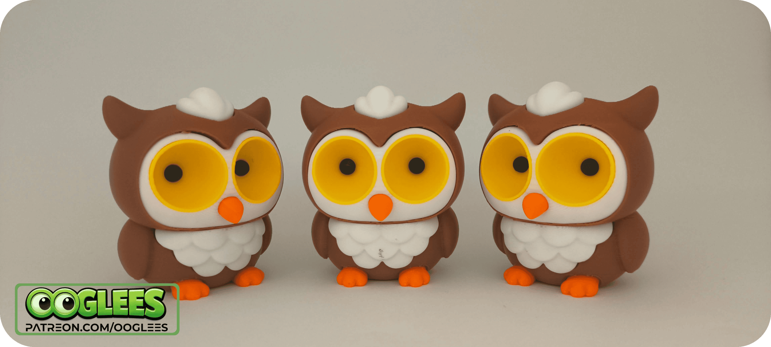 OOglees OWL | Wild Watchers.